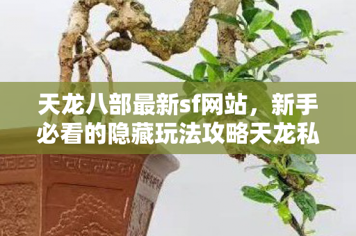 新手必看的隐藏玩法攻略天龙私服图片