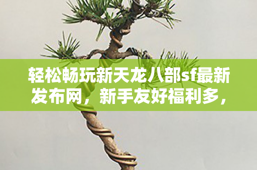 轻松畅玩新天龙八部sf最新发布网图片