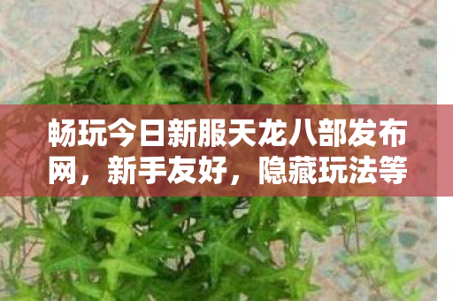 畅玩今日新服天龙八部发布网图片