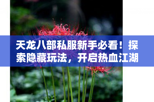 开启热血江湖之旅天龙八部私服图片
