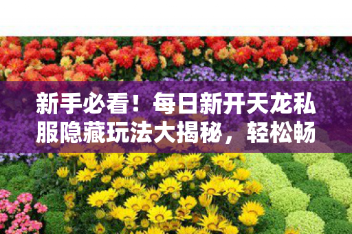 每日新开天龙私服隐藏玩法大揭秘图片