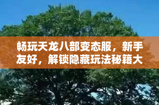 解锁隐藏玩法秘籍大公开图片