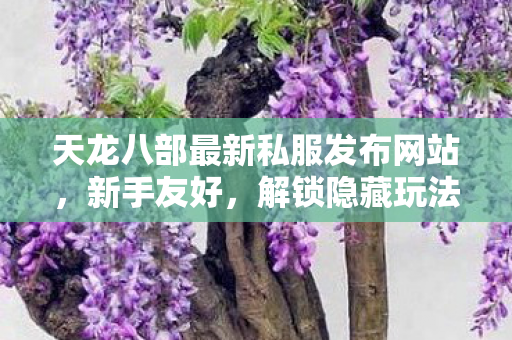 天龙八部最新私服发布网站图片