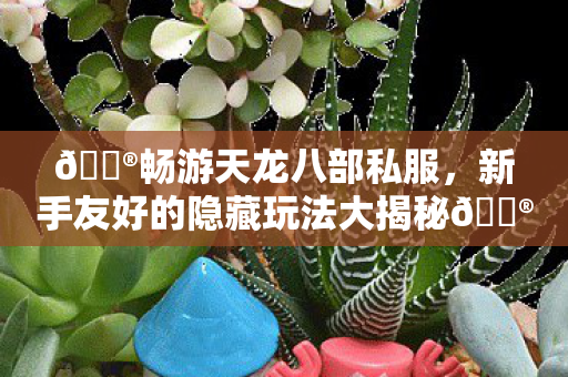 新手友好的隐藏玩法大揭秘图片