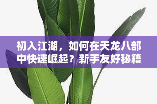 如何在天龙八部中快速崛起图片