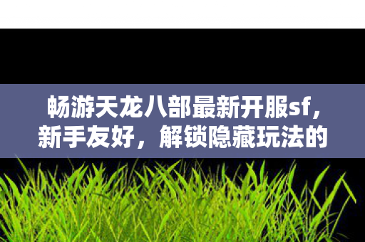 解锁隐藏玩法的绝佳之选天龙私服图片