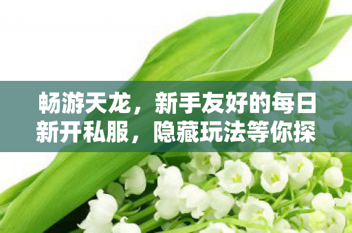 新手友好的每日新开私服图片