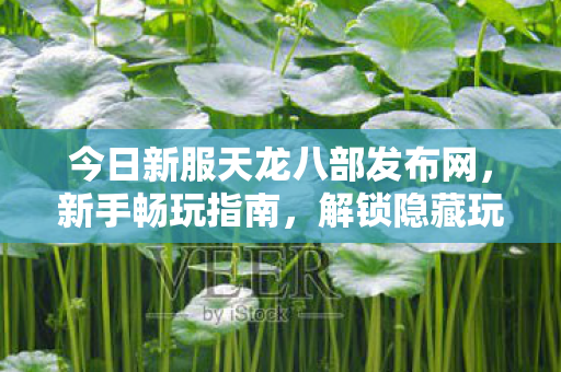 解锁隐藏玩法大揭秘天龙私服图片