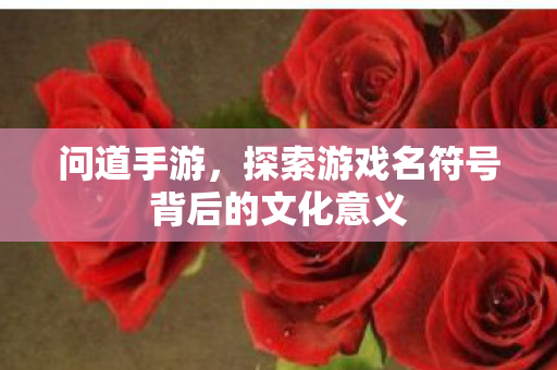 探索游戏名符号背后的文化意义图片