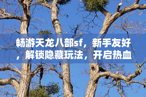 畅游天龙八部sf图片