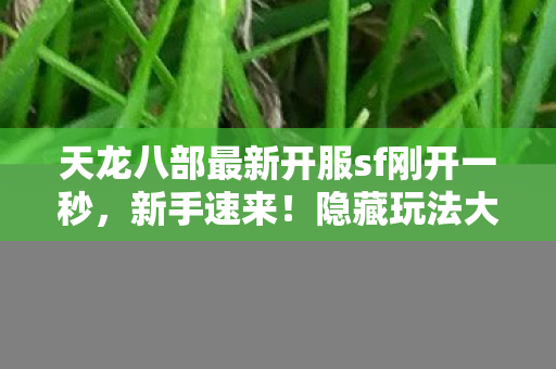 天龙八部最新开服sf刚开一秒图片
