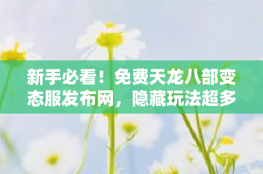 免费天龙八部变态服发布网图片