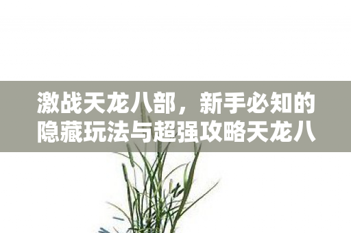 新手必知的隐藏玩法与超强攻略天龙八部私服图片