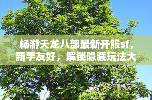 解锁隐藏玩法大揭秘天龙八部私服图片