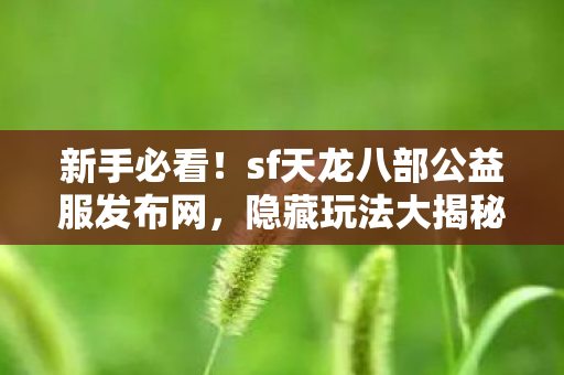sf天龙八部公益服发布网图片