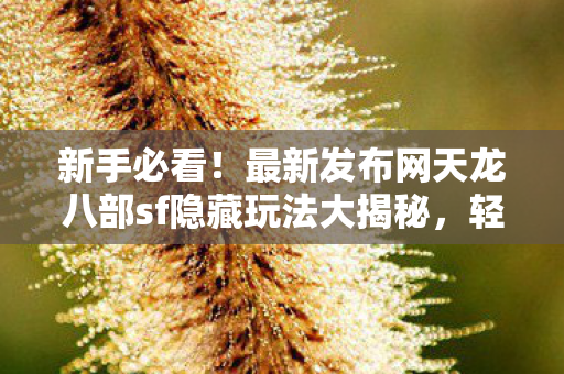 最新发布网天龙八部sf隐藏玩法大揭秘图片
