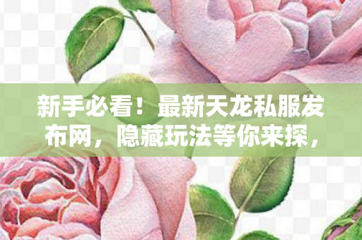 最新天龙私服发布网图片