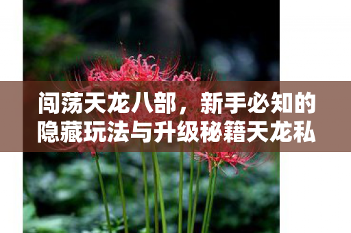 新手必知的隐藏玩法与升级秘籍天龙私服图片