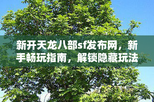 新开天龙八部sf发布网图片