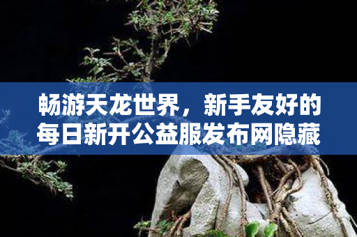新手友好的每日新开公益服发布网隐藏玩法大揭秘天龙私服图片