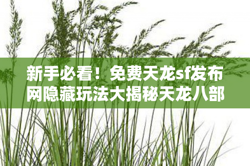 免费天龙sf发布网隐藏玩法大揭秘天龙八部私服图片