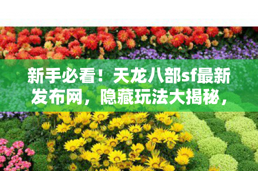 天龙八部sf最新发布网图片