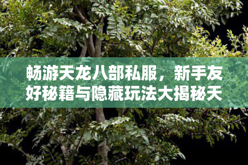 新手友好秘籍与隐藏玩法大揭秘天龙私服图片