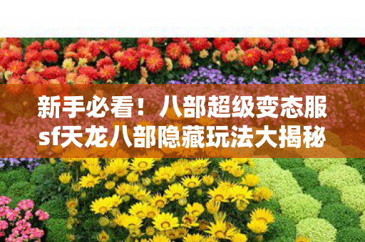 八部超级变态服sf天龙八部隐藏玩法大揭秘图片