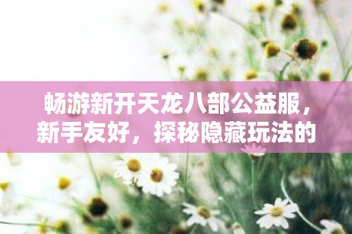 探秘隐藏玩法的绝佳之选天龙八部私服图片