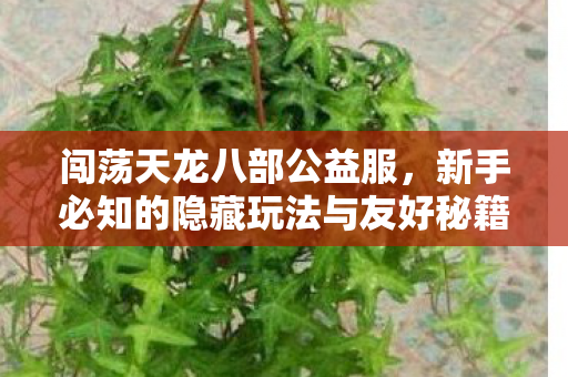 新手必知的隐藏玩法与友好秘籍天龙八部私服图片