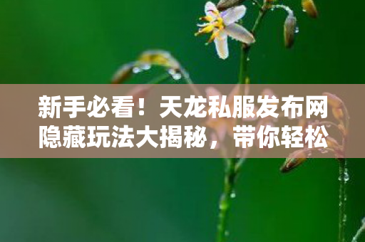 天龙私服发布网隐藏玩法大揭秘图片