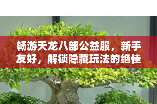 解锁隐藏玩法的绝佳之选天龙八部私服图片
