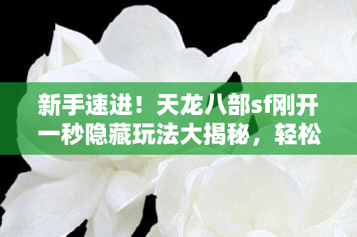 天龙八部sf刚开一秒隐藏玩法大揭秘图片