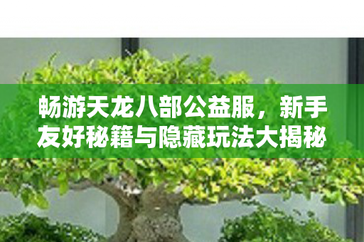 新手友好秘籍与隐藏玩法大揭秘天龙私服图片