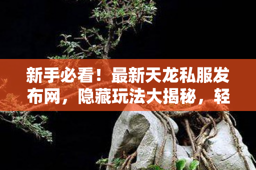 最新天龙私服发布网图片