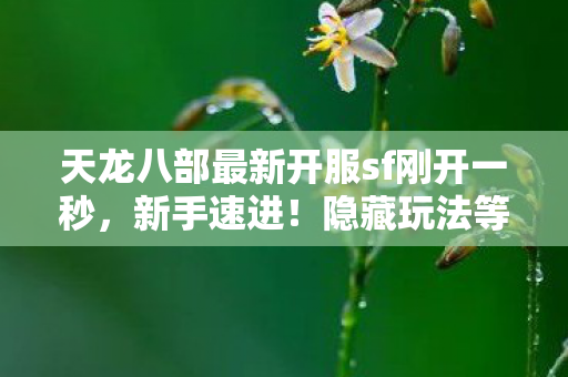 天龙八部最新开服sf刚开一秒图片
