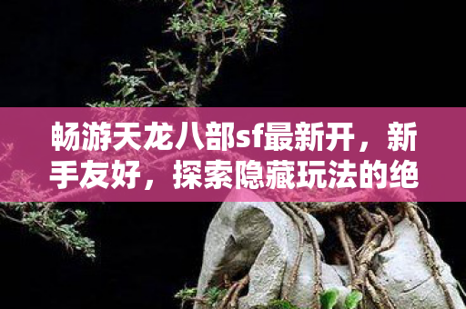 探索隐藏玩法的绝佳之地天龙私服图片