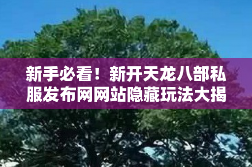 新开天龙八部私服发布网网站隐藏玩法大揭秘天龙私服图片