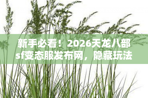 2026天龙八部sf变态服发布网图片