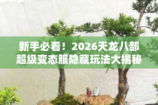 2026天龙八部超级变态服隐藏玩法大揭秘图片