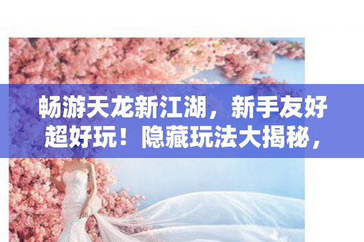 畅游天龙新江湖图片