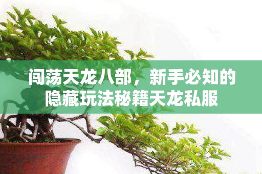 新手必知的隐藏玩法秘籍天龙私服图片