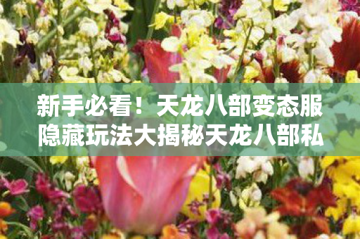 天龙八部变态服隐藏玩法大揭秘天龙八部私服图片