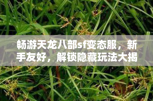 解锁隐藏玩法大揭秘天龙八部私服图片