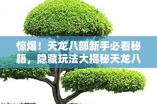 隐藏玩法大揭秘天龙八部私服图片