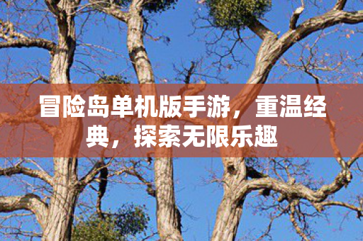 冒险岛单机版手游图片