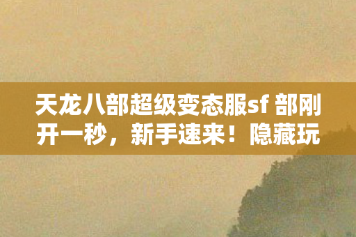 天龙八部超级变态服sf 部刚开一秒图片