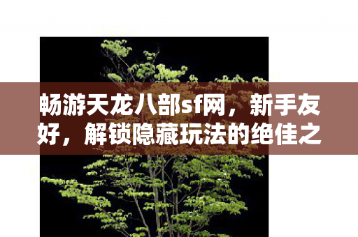 解锁隐藏玩法的绝佳之地天龙八部私服图片