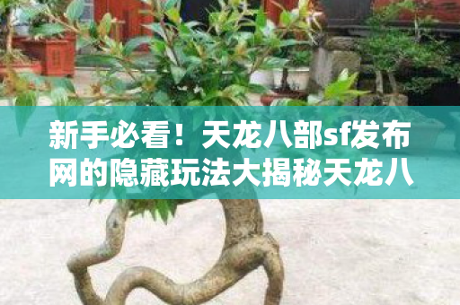 天龙八部sf发布网的隐藏玩法大揭秘天龙八部私服图片