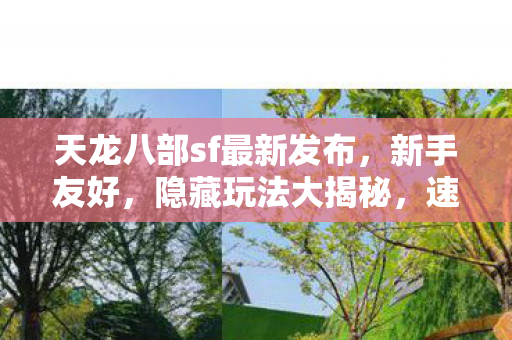 天龙八部sf最新发布图片